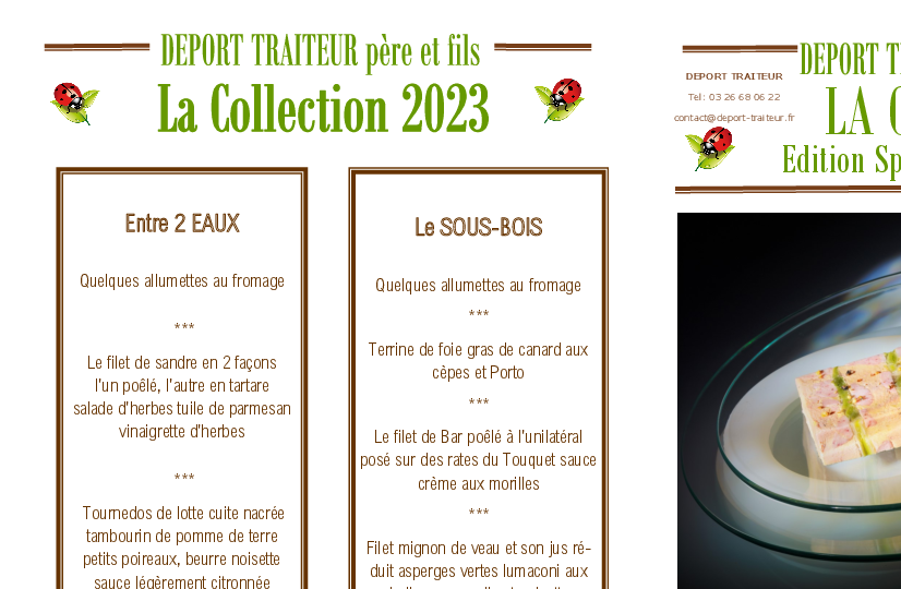 Preview Menu
