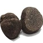 Slide LE MUST la truffe melanosporum